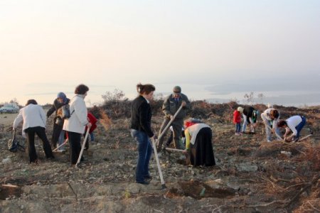Bursa'da kadınlar şiddete karşı fidan dikti
