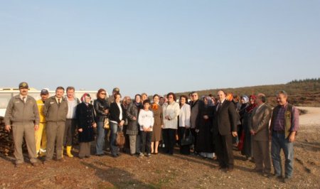 Bursa'da kadınlar şiddete karşı fidan dikti