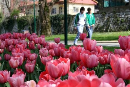 Bursa'da Lale Devri