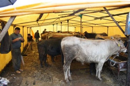 Bursa'da Sağanak Yağış Kurban Satıcılarını Vurdu