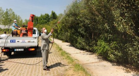 Bursa'da Sinekle Mücadele Çalışmaları Başladı