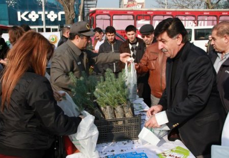 Bursa'da yeni yıl öncesinde 15 bin fidan dağıtıldı