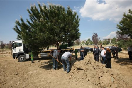 Bursa'da Yeşil Transferi Başladı
