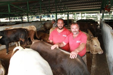 Bursa'daki kurbanlık satıcıları satışların azlığından dert yandı