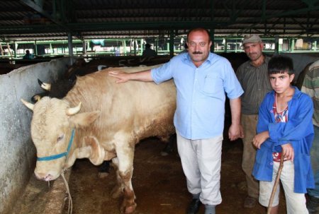 Bursa'daki kurbanlık satıcıları satışların azlığından dert yandı