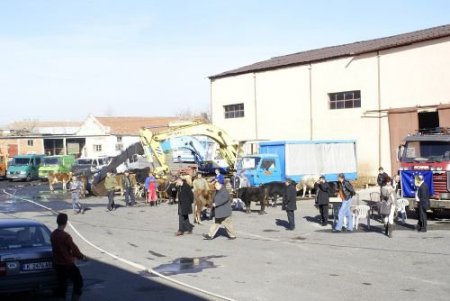 Bursalı Hayırseverler Balkanlardaki Soydaşları Bayramda Da Unutmadı