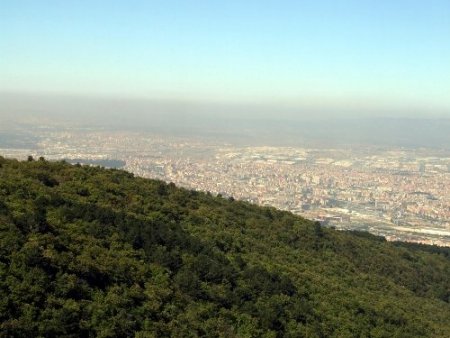 Bursa’nın yüzde 45’i orman