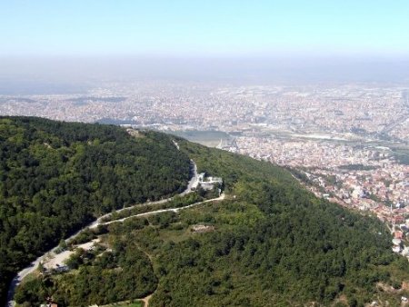 Bursa’nın yüzde 45’i orman