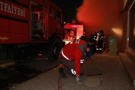Bursa'yı ayağa kaldıran yangın, at sevdalılarını korkutmadı