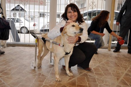 Bütün çabalar Hoyrat ve Müdür yeniden yürüsün diye