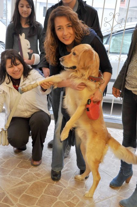 Bütün çabalar Hoyrat ve Müdür yeniden yürüsün diye