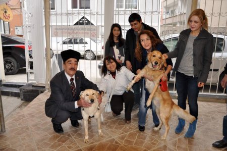 Bütün çabalar Hoyrat ve Müdür yeniden yürüsün diye