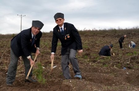 Bütün yurtta tek ses: Biz değil miydik?
