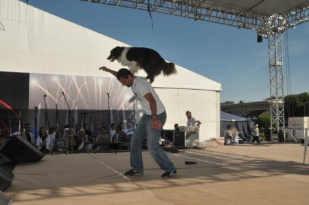Büyük Ankara Festivali Coşkusu Başladı