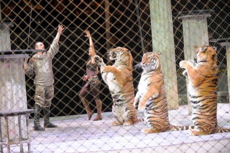 Büyük Ankara & Moskova Sirki, bayramda gösterilerine başlıyor