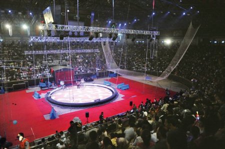 Büyük Ankara&Moskova Sirki, hafta sonları gösterilerini sürdürüyor