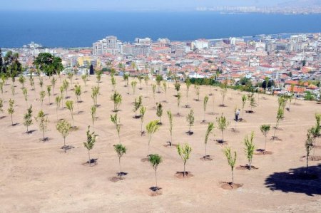 Büyükşehir, Kamulaştırmada 750 Milyon Tl Sınırını Zorluyor