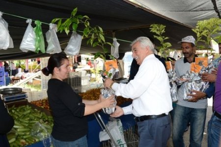 Büyükşehir 20 bin turunç fidanı dağıttı