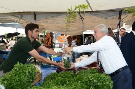 Büyükşehir 20 bin turunç fidanı dağıttı