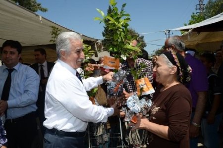 Büyükşehir 20 bin turunç fidanı dağıttı