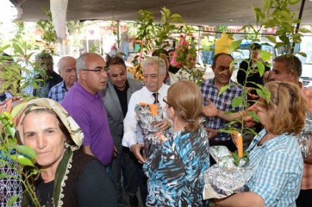 Büyükşehir 20 bin turunç fidanı dağıttı