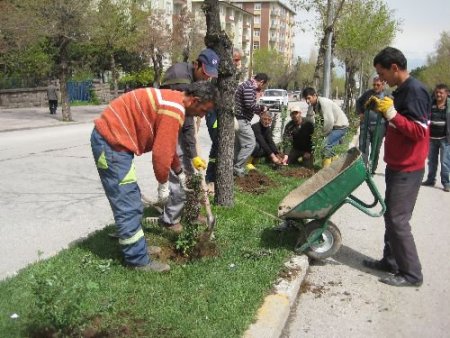 Büyükşehir Belediyesi, 19 Bin Fidanı Toprakla Buluşturuyor