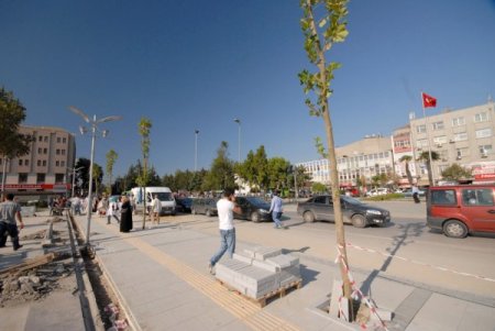 Büyükşehir belediyesi şehir merkezini ağaçlandırıyor
