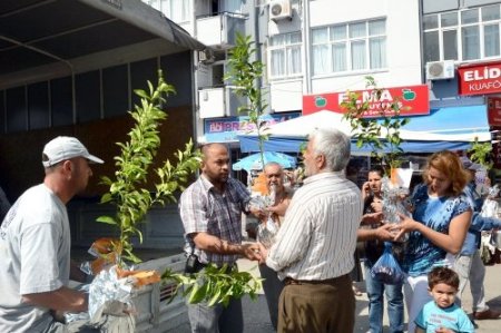Büyükşehir Belediyesi’nin turunç fidanı kampanyası sürüyor