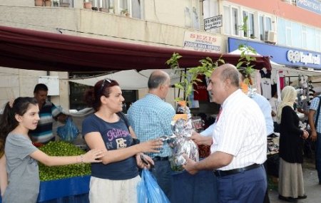 Büyükşehir Belediyesi’nin turunç fidanı kampanyası sürüyor