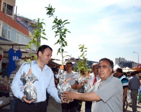 Büyükşehir Belediyesi’nin turunç fidanı kampanyası sürüyor