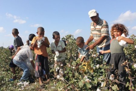 Çadırdaki çocuklar eğitimde ‘ihale’ engelline takıldı