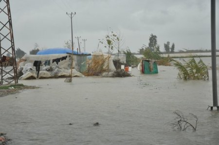 Çadırları su altında kalan tarım işçileri okullara yerleştirildi