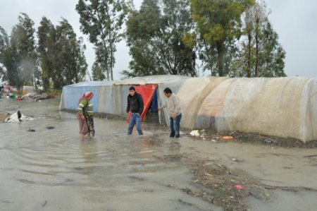 Çadırları su altında kalan tarım işçileri okullara yerleştirildi