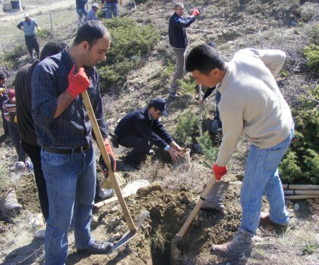 Çağlayancerit Emniyet Müdürlüğü personeli fidan dikti