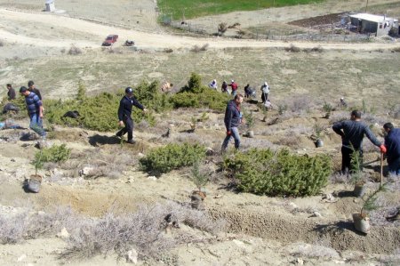 Çağlayancerit Emniyet Müdürlüğü personeli fidan dikti