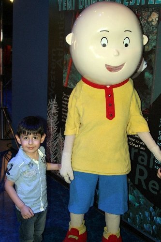 Caillou, köpek balıklarıyla yüzdü