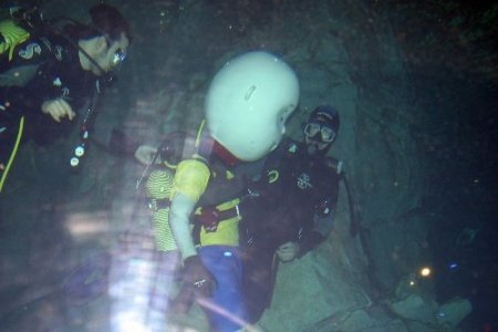 Caillou, köpek balıklarıyla yüzdü