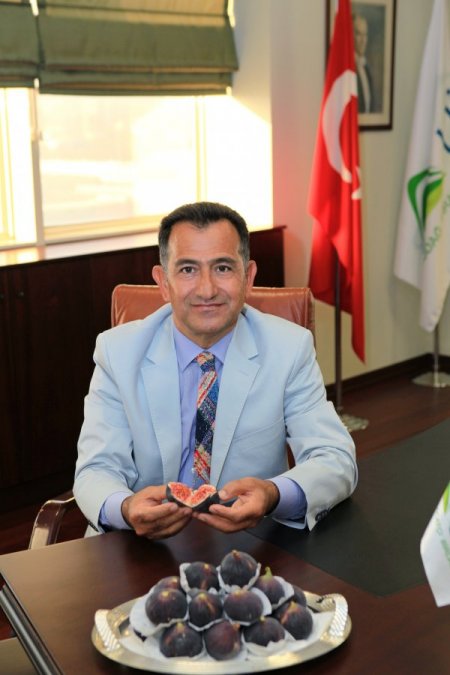 Çalı: Düşes’e siyah inciri Ana Kraliçe tavsiye etmiş olabilir