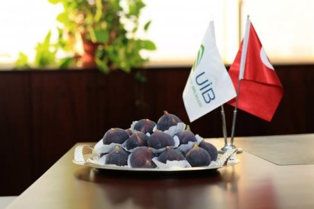 Çalı: Düşes’e siyah inciri Ana Kraliçe tavsiye etmiş olabilir