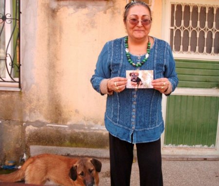 Çalınan köpeğini sokak sokak gezerek arıyor