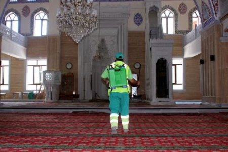 Camiler 'gül' Kokacak