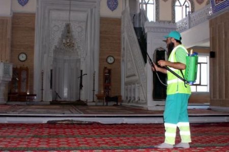 Camiler 'gül' Kokacak