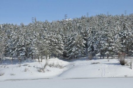 Çamlık Milli Parkı'nda kar ile gelen güzel manzaralar