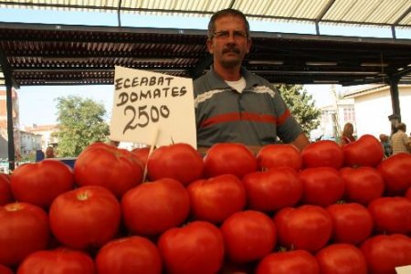 Çanakkale Domatesinin Fiyat Artışı Altını Geçti