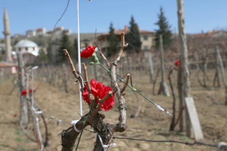 Çanakkale kahramanlarının kabrine, Kayseri'nin ilk şehitliğine vefa çağrısı