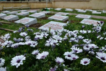 Çanakkale şehitlikleri zafer kutlamalarına hazırlanıyor