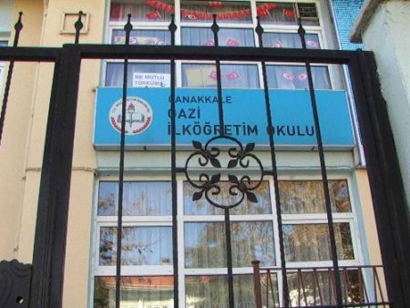 Çanakkale'de 4 Öğrencide Domuz Gribi Tespit Edildi