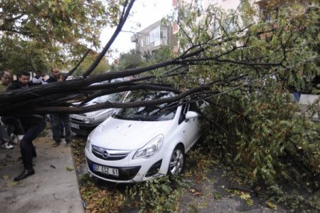 Çanakkale’de fırtına ağaçları devirdi