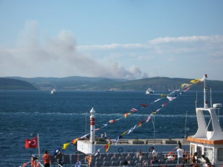 Çanakkale'de Orman Yangını