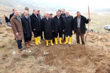 Çankırı, '18 Milyon Fidan Projesi' ile yeşillenecek